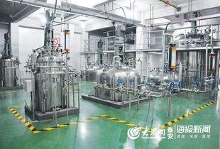 泰山區全方位構建醫養結合服務模式